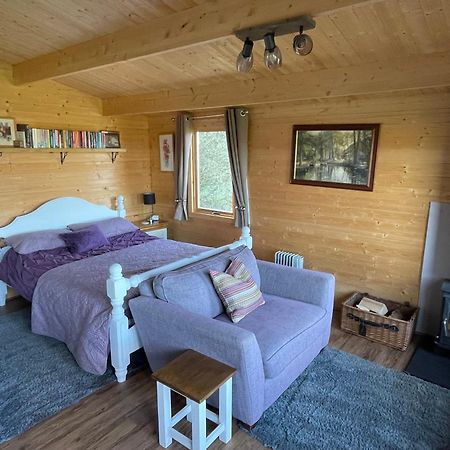 Cosy cabin in Annie’s meadow West Meon Zewnętrze zdjęcie